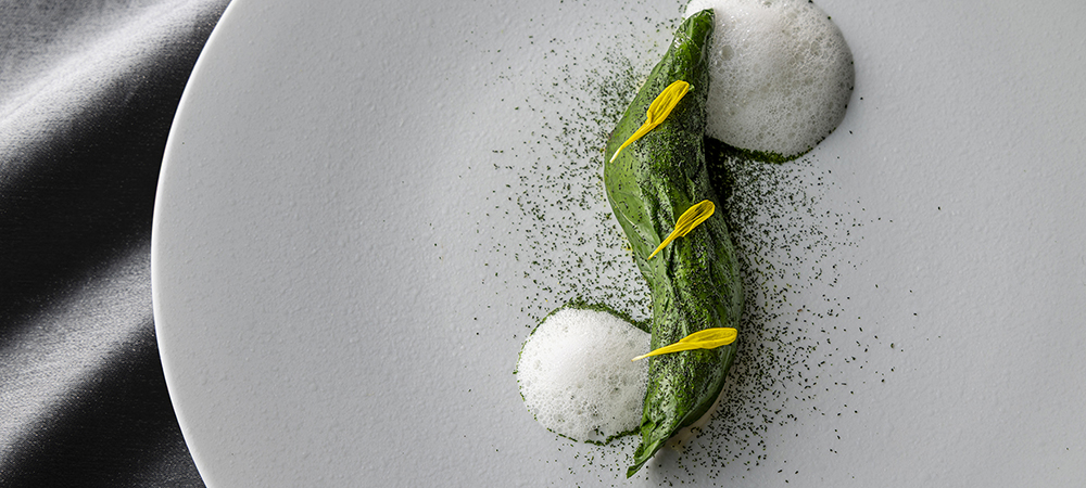 Pleasure （プレジャー）12/5 ～