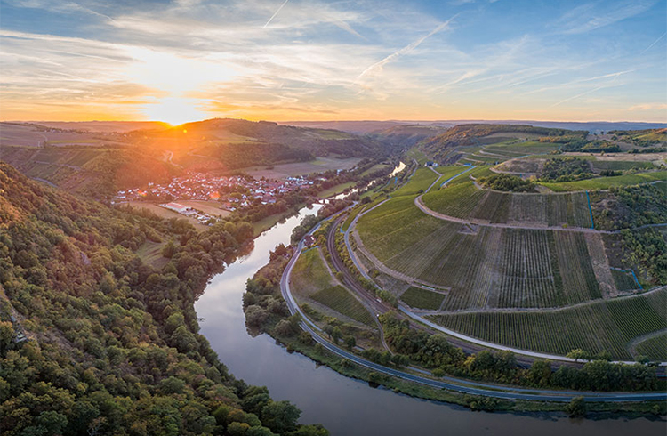ドイツ5生産者ワイン&ビュッフェパーティー