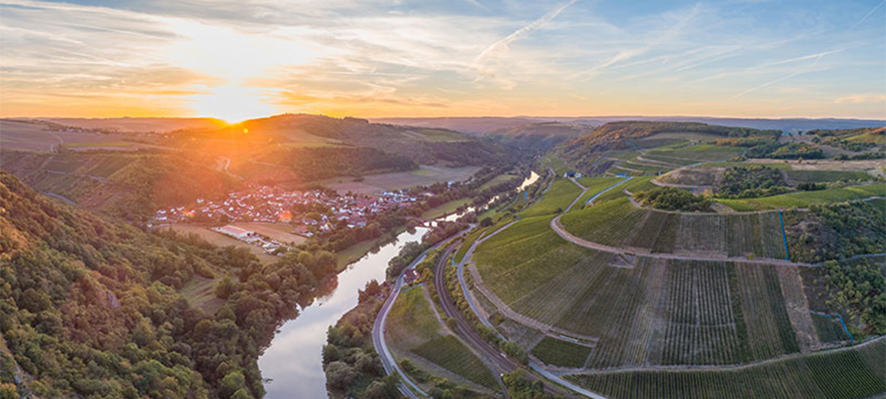 ドイツ5生産者ワイン&ビュッフェパーティー