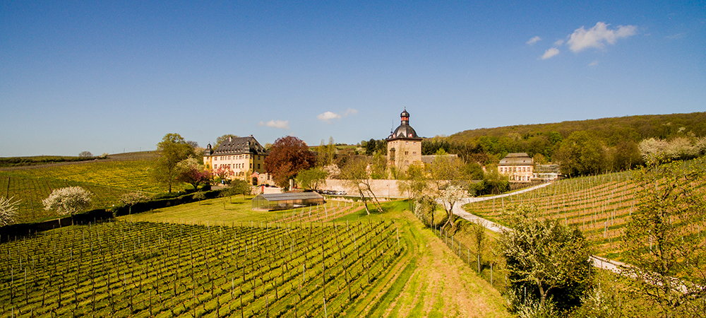 ドイツ5生産者ワイン&ビュッフェパーティー