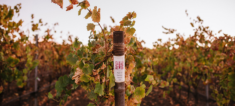 グレッグ・ブリュワー  メーカーズディナー