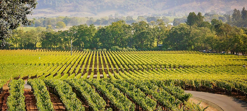 スタッグリン メーカーズディナー